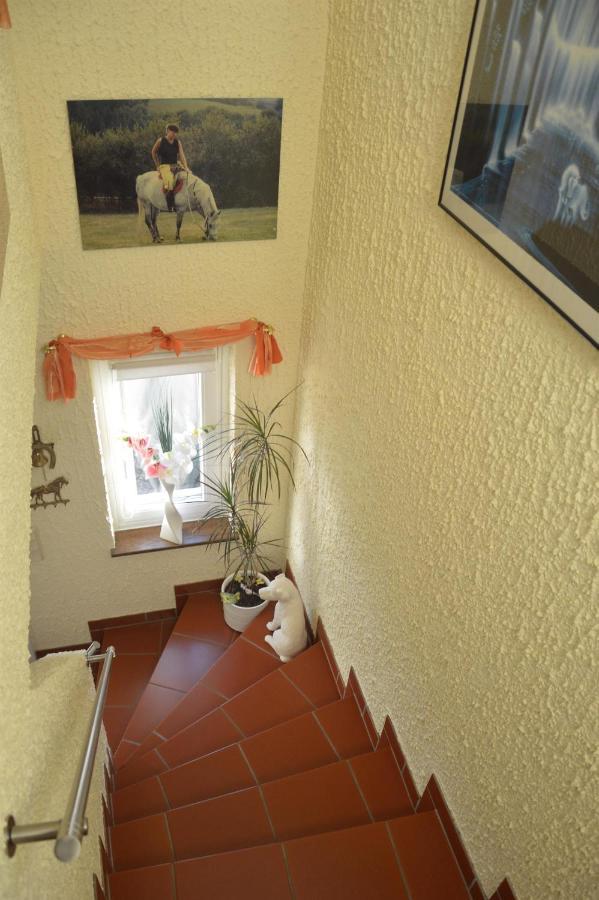 Ferienwohnung Auszeit Waxweiler Ngoại thất bức ảnh